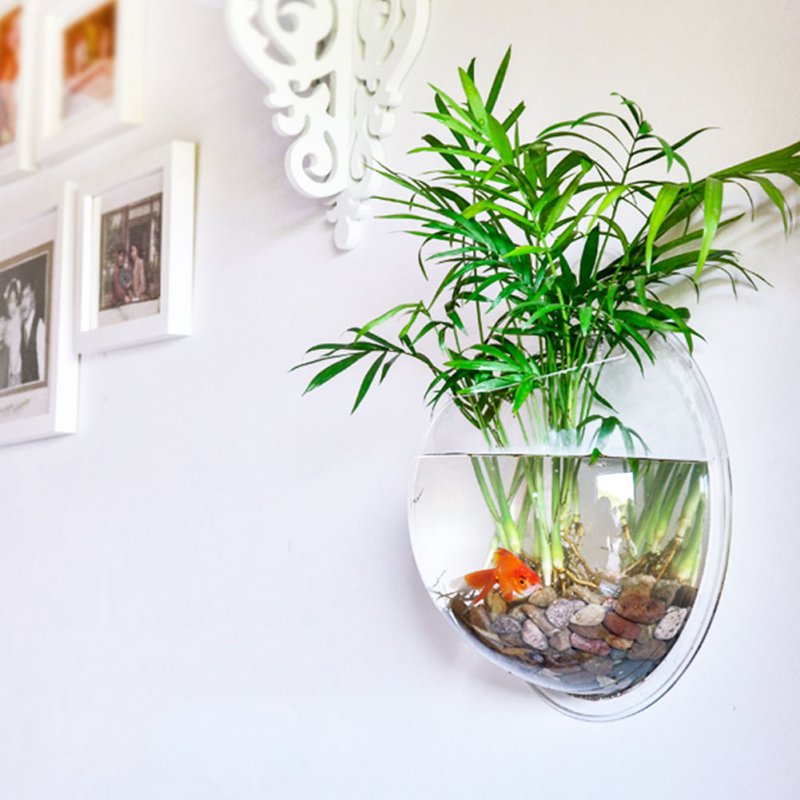 Maison M. Transparent Wall Plant Aquarium