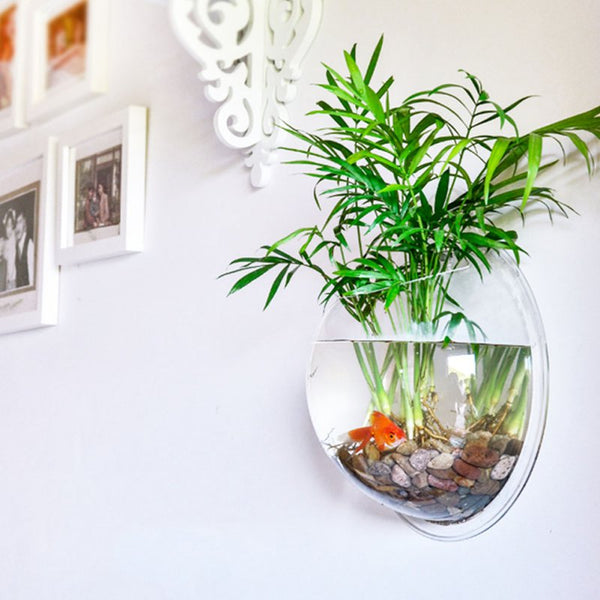 Maison M. Transparent Wall Plant Aquarium